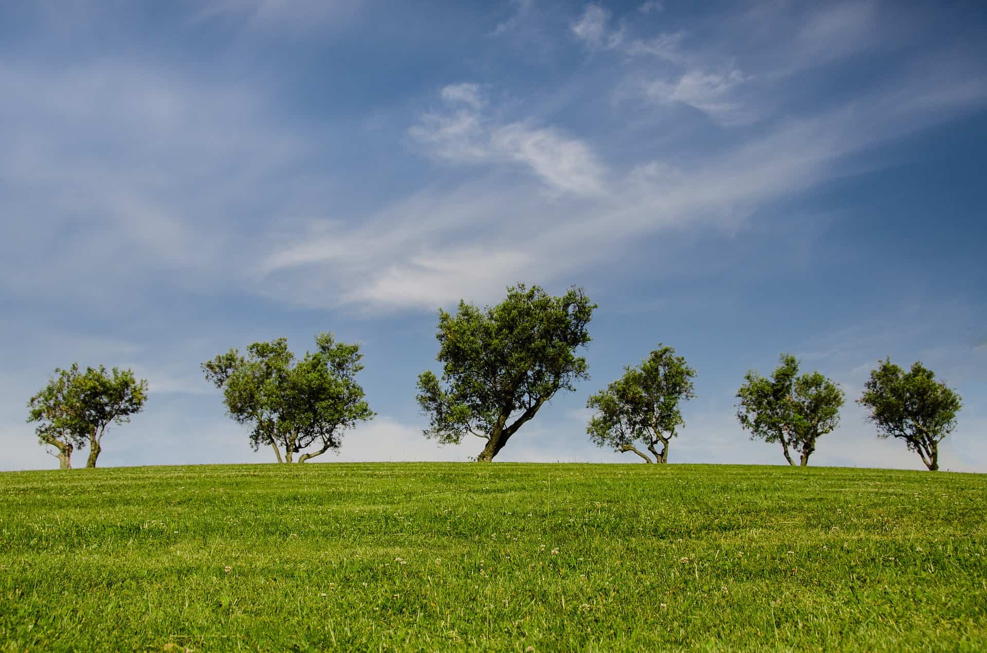 ways to save the environment