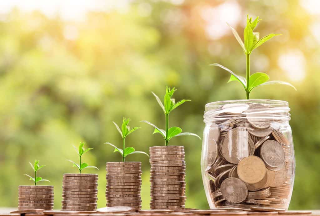 pot of money with plant growing out of it