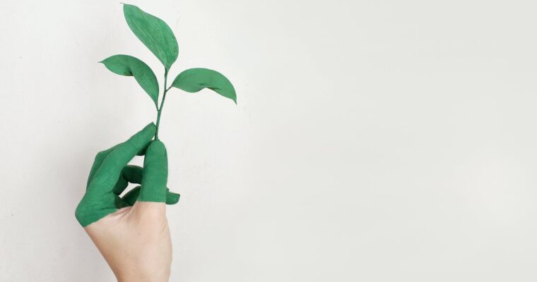 Green Advice For Small Business Owners