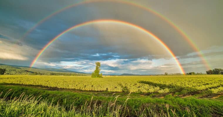 What It Takes To Buy Land For Your New Home